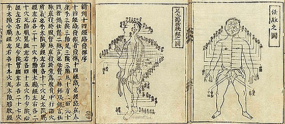 Acupuncture History