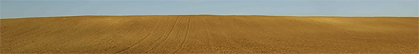 Brown Dirt - Soil Degradation