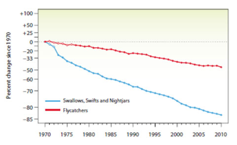 Change in Bird Population