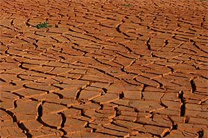 Desertification - Soil Degredation