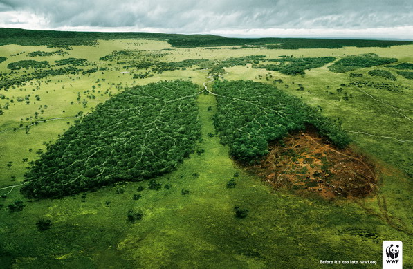 wwf lungs WWF Campaign: Deforestation and Lungs