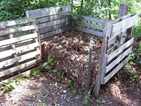 Home Compost Pile