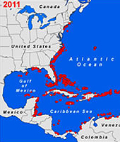 Lionfish population growth from 2001 through 2011 