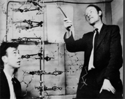 James Watson and Francis Crick