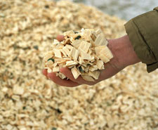 hand holding wood chips made from woody biomass