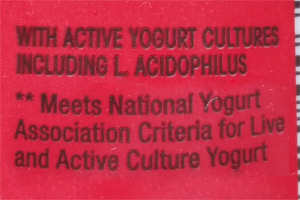 Yogurt With active yogurt cultures - Lactobacillus Acidophilus